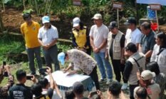 SWI Lakukan Rangkaian Kick Off, Menuju Munas dan Peringatan HKPS 2026